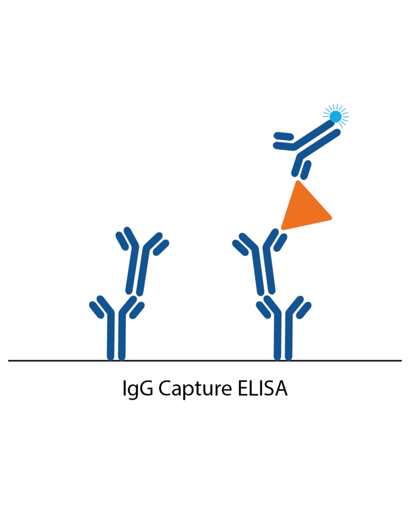 Elisa Formats For Infectious Disease Diagnostics The Native Antigen