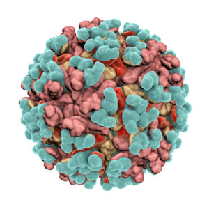 Chikungunya Virus Mutant (A226V) E1 Envelope Protein (Insect Cells)