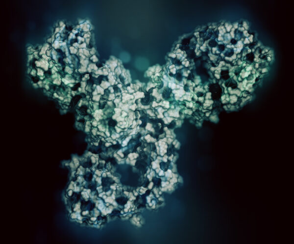 Mouse Anti Ebola Virus envelope glycoprotein GP (Zaire) (M921)