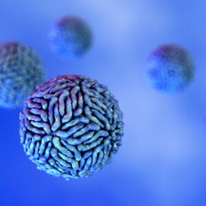 Dengue Virus Pan-Serotype P18