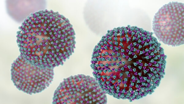 Rotavirus lysate