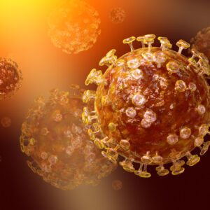 Herpes Simplex Virus 2 Lysate Antigen