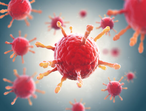 Human Immunodeficiency Virus P24 Protein [HIV-1/Clade C]
