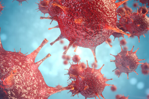Human Immunodeficiency Virus GP120 Protein [HIV-1/Clade AE (CM240)]