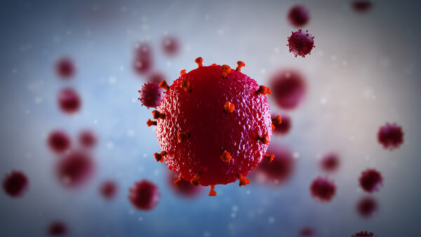 Human Immunodeficiency Virus Nef Protein [HIV-1/Clade B (IIIB)]
