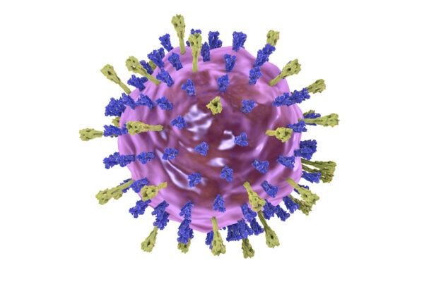 Varicella-Zoster Virus Heterodimer gE/gI Influenza A H1N1 (A/PR/8/34)