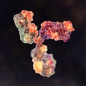 Rabbit Anti Flavivirus Envelope Protein Antibody (4G2)