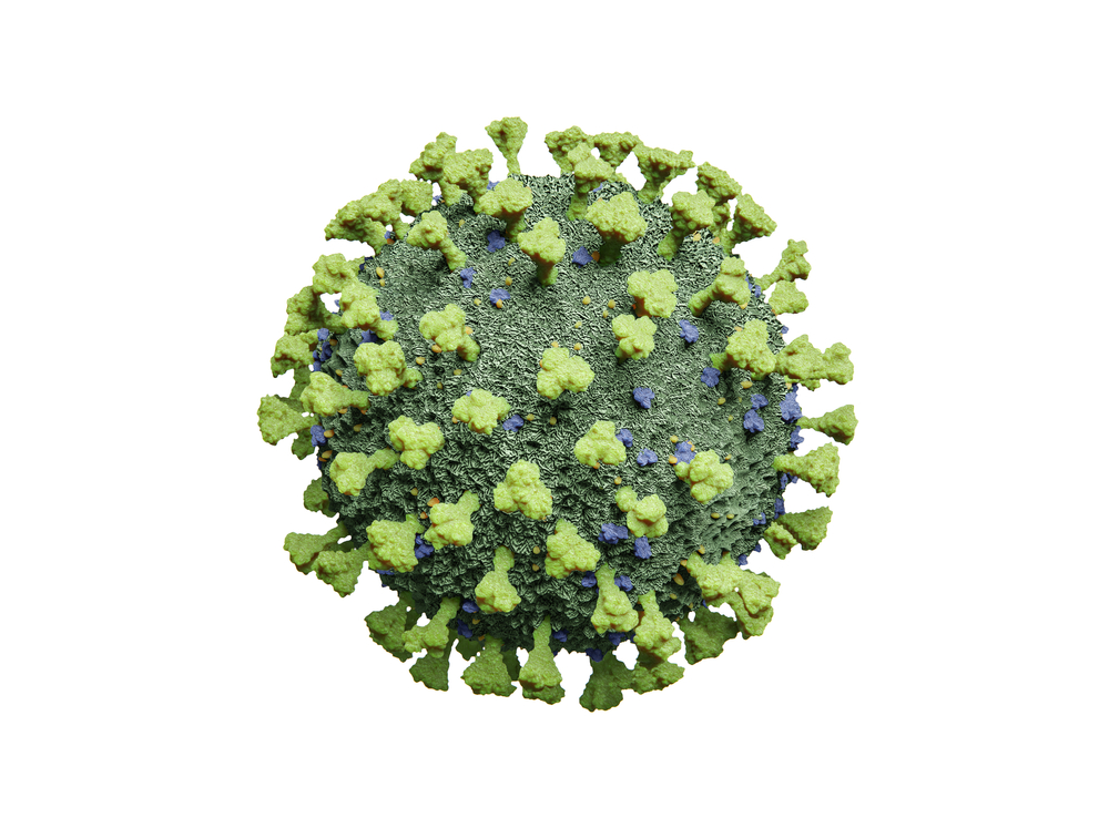 Parainfluenza Virus Type 2 Lysate The Native Antigen Company