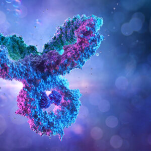 SARS-CoV-2 RBD Antibody (DH6)