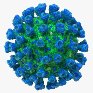 Astrovirus antigen (Type 1)