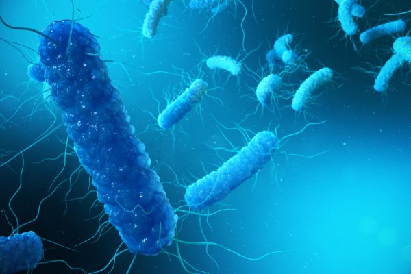Image of blue clostridium difficile bacteria