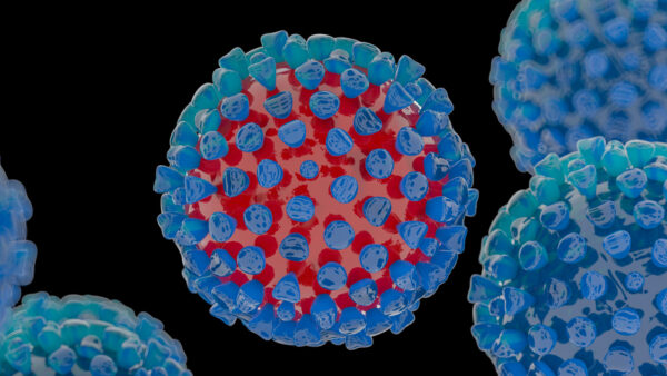 Herpes Simplex virus 2