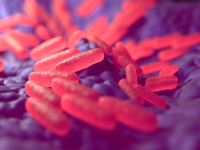 Bordetella Pertussis Toxin (Frozen) The Native Antigen Company