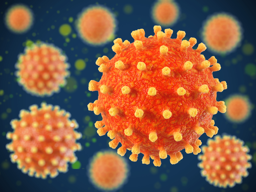 Herpes Simplex Virus 2 gG2 Protein - The Native Antigen Company.