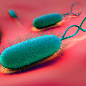 Cholera Toxin Subunit B
