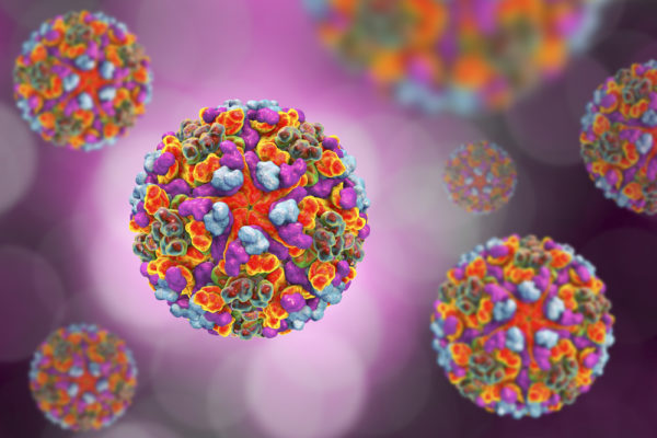 Multicoloured-chikungunya-virus-particles