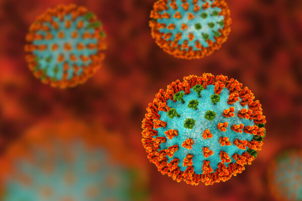 Lassa fever virus GP2