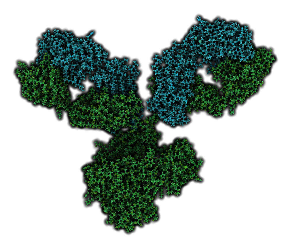 Dengue Virus NS1 Antibody (serotype 3) - The Native Antigen Company