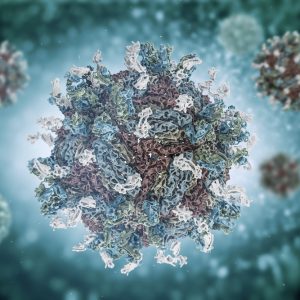 Dengue Virus-like Particles Serotypes 1-4 - The Native Antigen Company