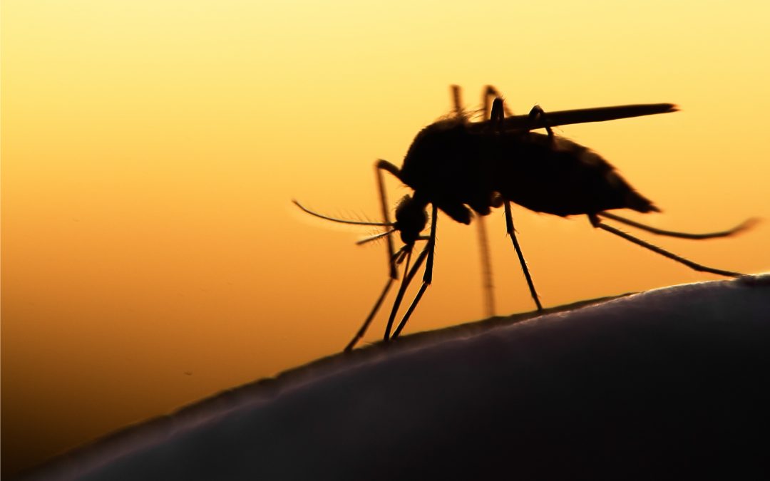 Challenges to Effective Yellow Fever Diagnostics
