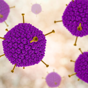 Adenovirus Type 40