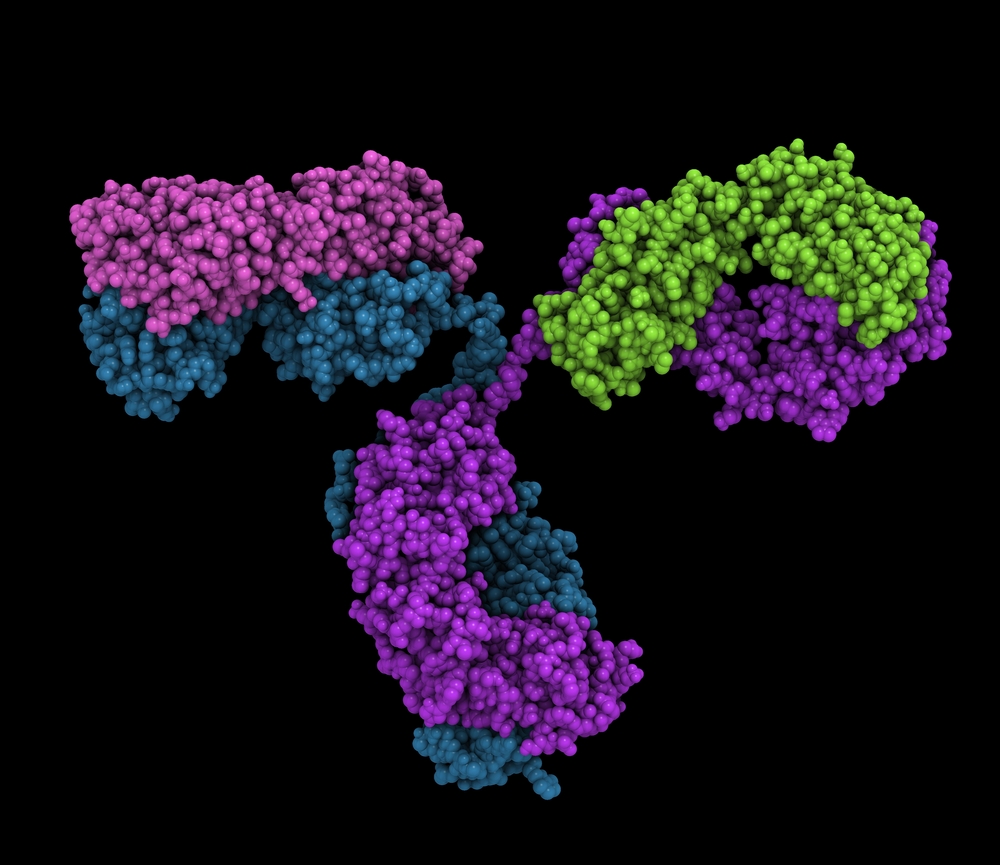 rubella-virus-glycoprotein-e1-antibody-the-native-antigen-company