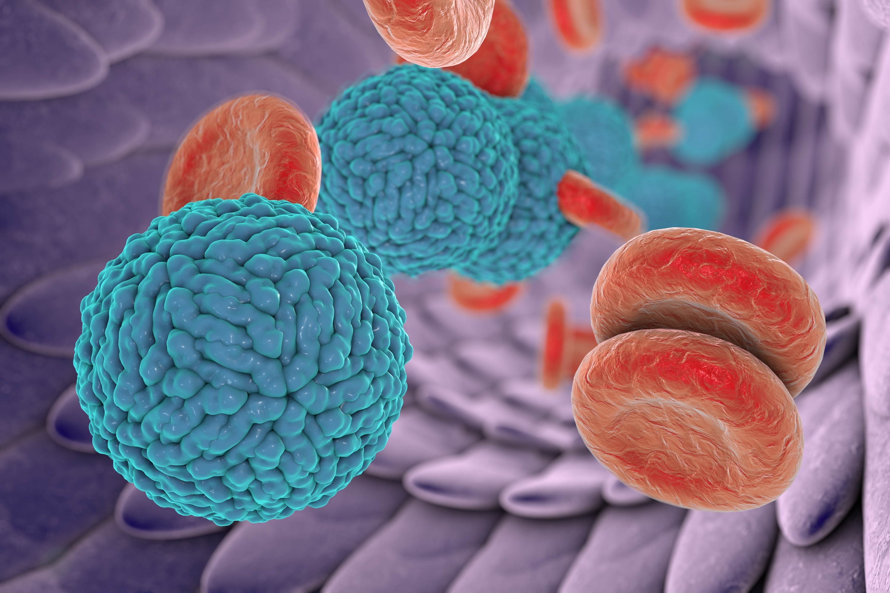 dengue-virus-serotype-1-diii-env-protein-the-native-antigen-company