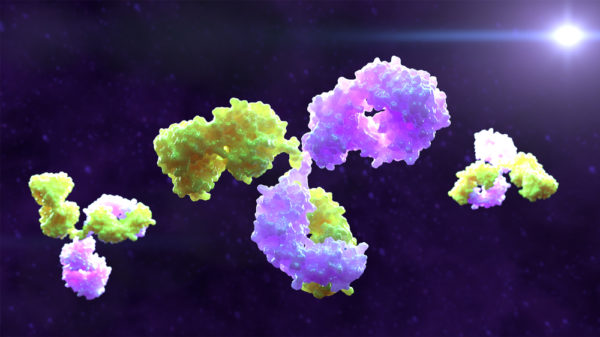 Human IgG1 Anti-Flavivirus Envelope Protein Antibody (4G2)