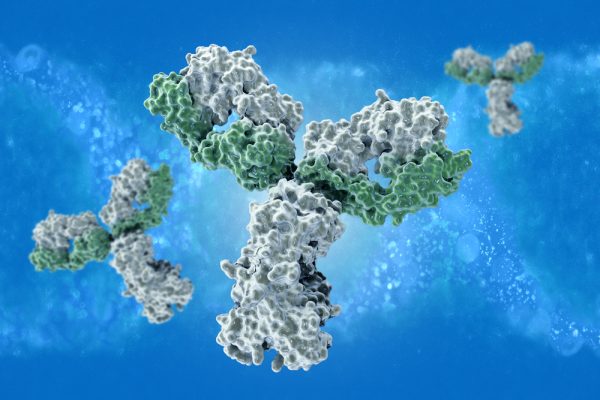 Mouse Anti-Ebola Virus VP40 Protein Antibody (Sudan/Zaire) (8A1)