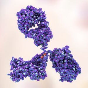 Mouse Anti-Hepatitis B Virus X Protein Antibody (1884)
