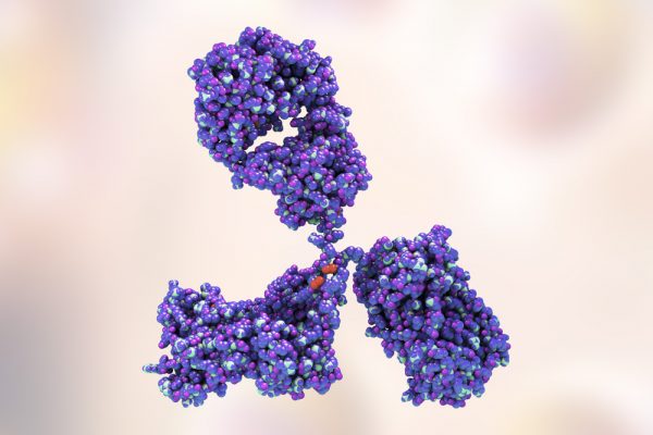 Purple antibody on beige background