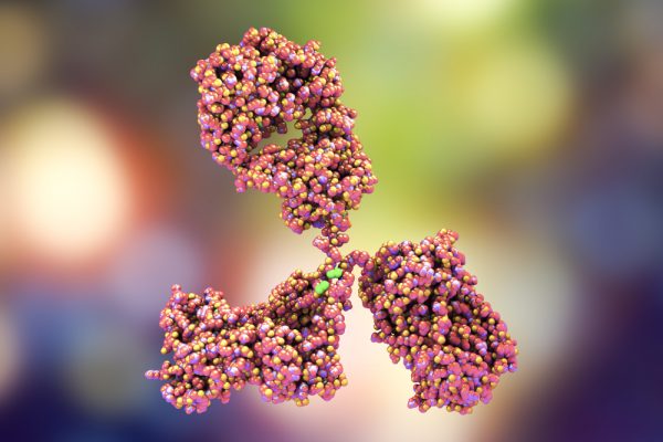 Beige antibody on multi-coloured background