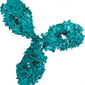 Green antibody on white background