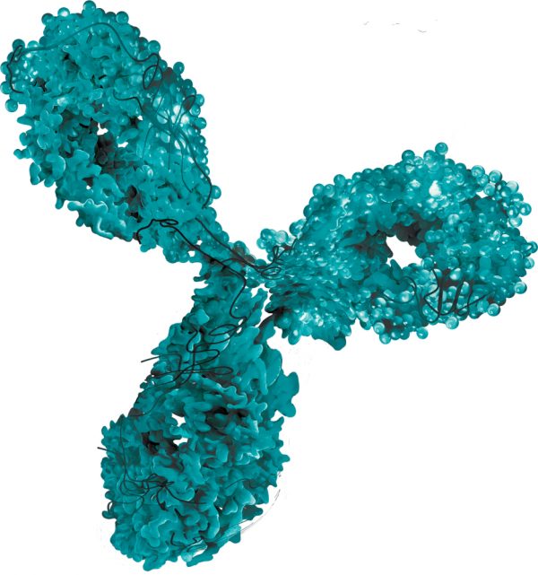Green antibody on white background