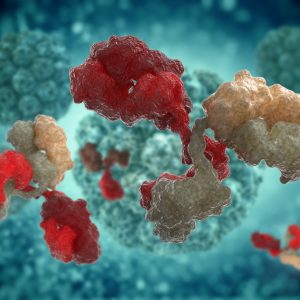 Mouse Anti-Hepatitis B Virus Core Protein Antibody (1824)