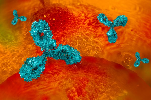 Mouse Anti-Dengue Virus Pan-Serotype NS1 Antibody (DA034)