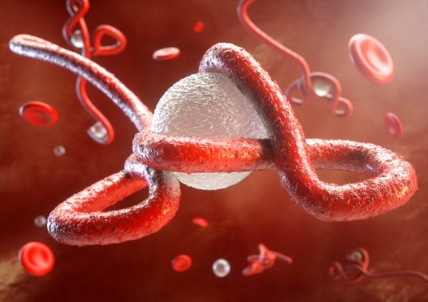 Ebola virus secreted glycoprotein