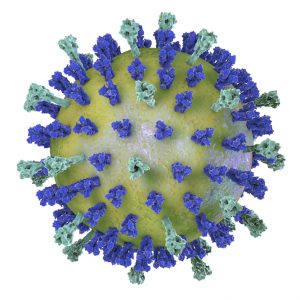 Lassa fever virus GP2