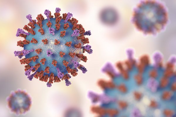 Oropouche Virus Nucleoprotein