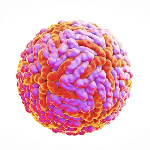 Pink and orange flavivirus capsid Zika virus lysate West Nile virus 2