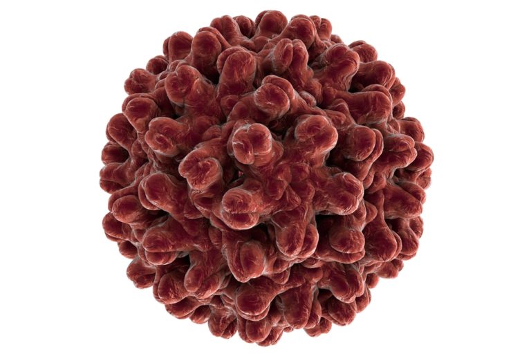 Hepatitis E Capsid Protein (ORF2) Fctag The Native Antigen Company