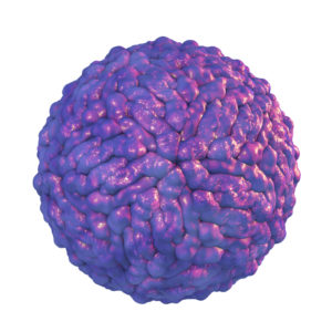 Tick-Borne Encephalitis Virus Envelope Protein, Human Fc-tag
