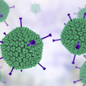 Green-and-purple-adenovirus-particles