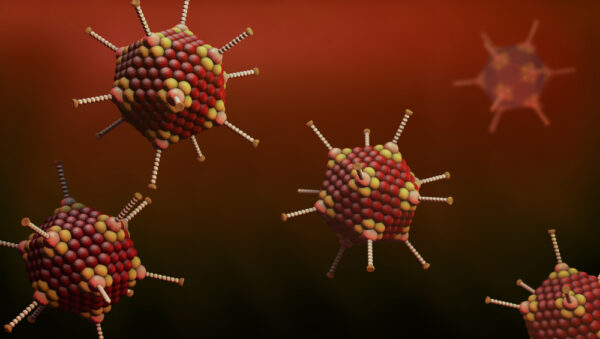 Adenovirus type 3 particle