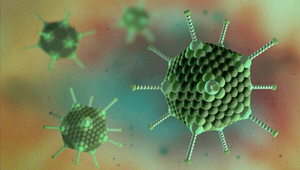 Adenovirus 5 particles