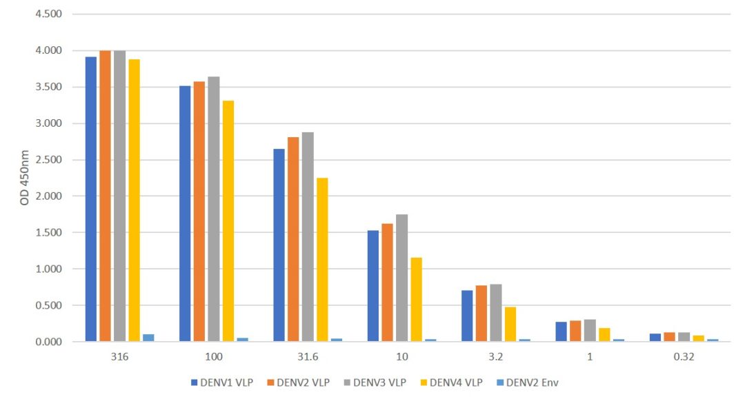 Dengue virus panserotype prM antibody The Native Antigen Company