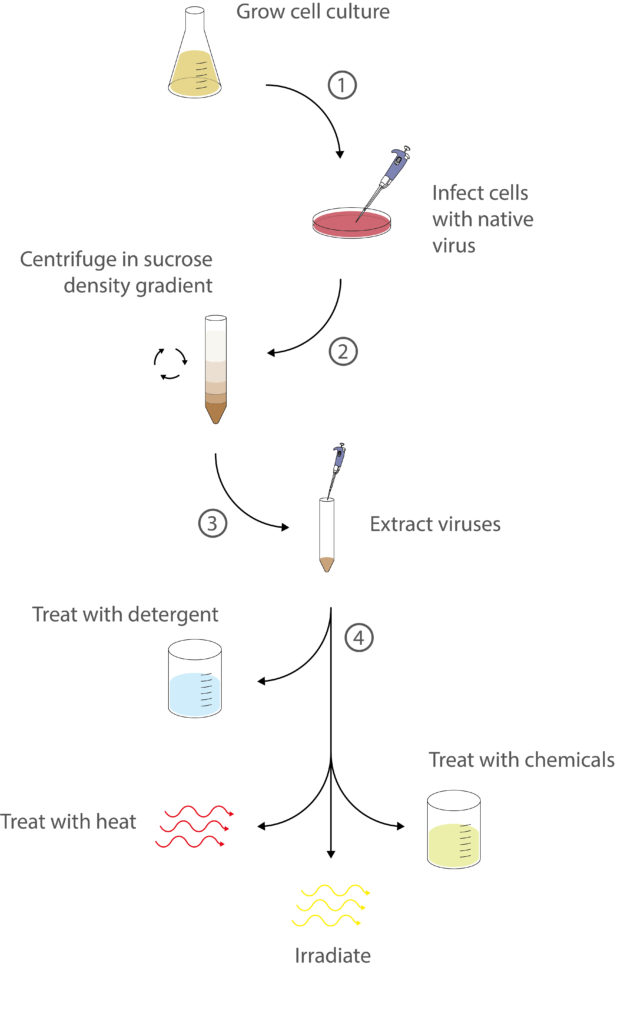 Viral Lysates For Diagnostic Research - The Native Antigen Company