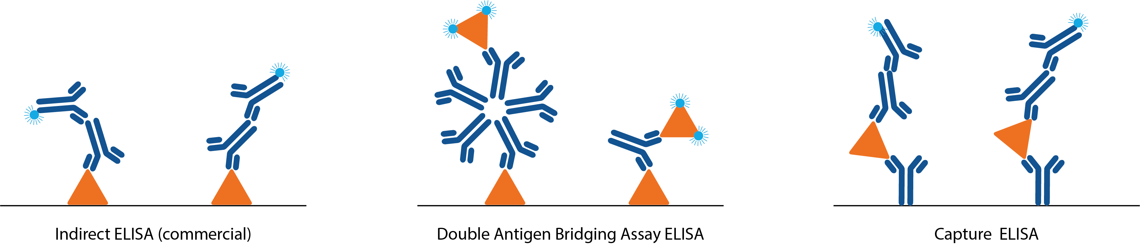 Antigen Sandwich Elisa