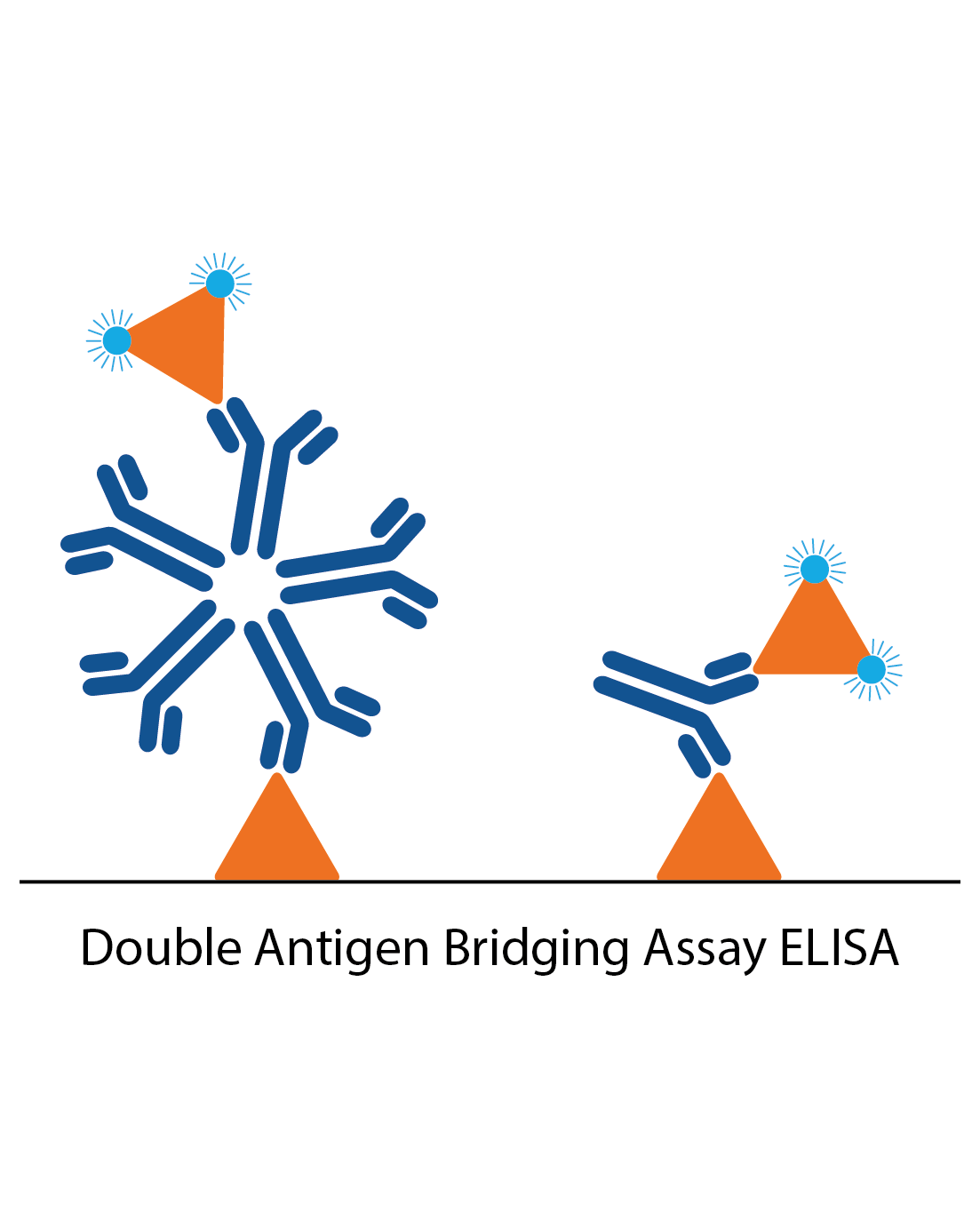 Antigen Sandwich Elisa