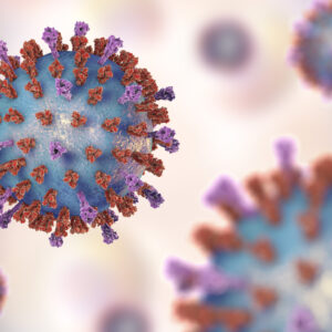 Lassa Fever Virus GP1 Protein